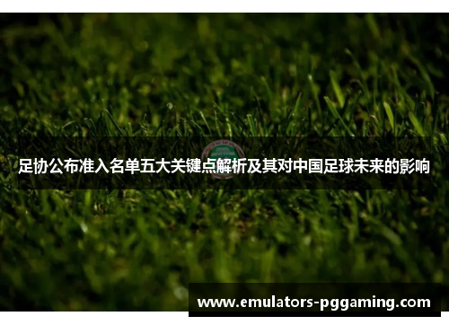 足协公布准入名单五大关键点解析及其对中国足球未来的影响