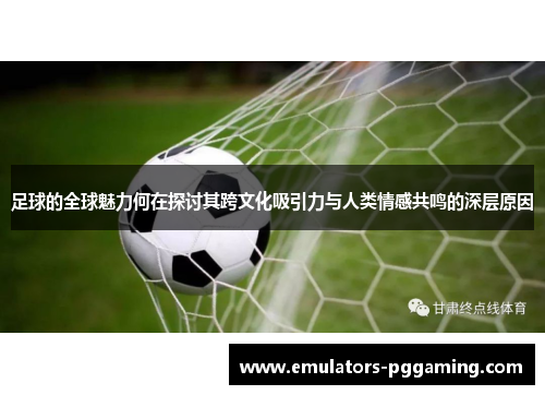 足球的全球魅力何在探讨其跨文化吸引力与人类情感共鸣的深层原因