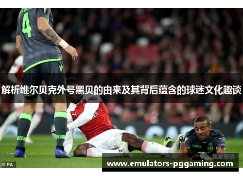 解析维尔贝克外号黑贝的由来及其背后蕴含的球迷文化趣谈 解析维尔贝克外号黑贝的由来及其背后蕴含的球迷文化趣谈