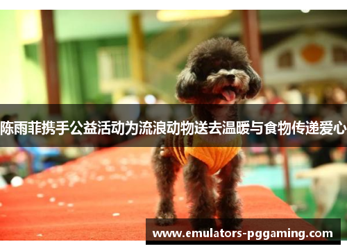 陈雨菲携手公益活动为流浪动物送去温暖与食物传递爱心 陈雨菲携手公益活动为流浪动物送去温暖与食物传递爱心