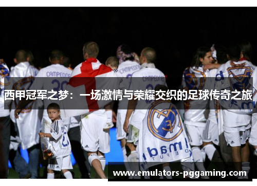 西甲冠军之梦：一场激情与荣耀交织的足球传奇之旅