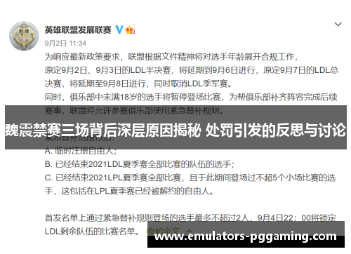 魏震禁赛三场背后深层原因揭秘 处罚引发的反思与讨论