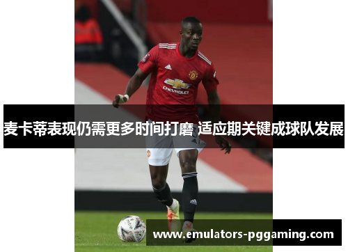 麦卡蒂表现仍需更多时间打磨 适应期关键成球队发展